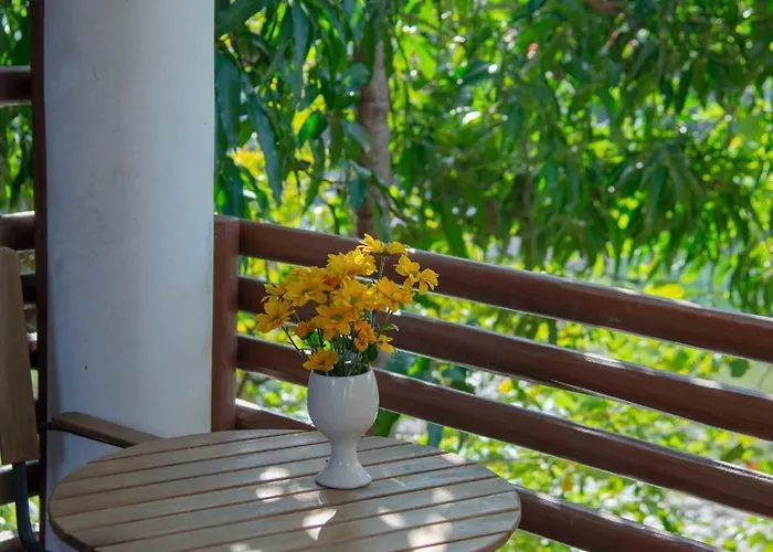 King Room Garden View